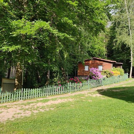 Hotel Osrodek Lesny Rajsko W Zapuscie Zapusta Exterior foto