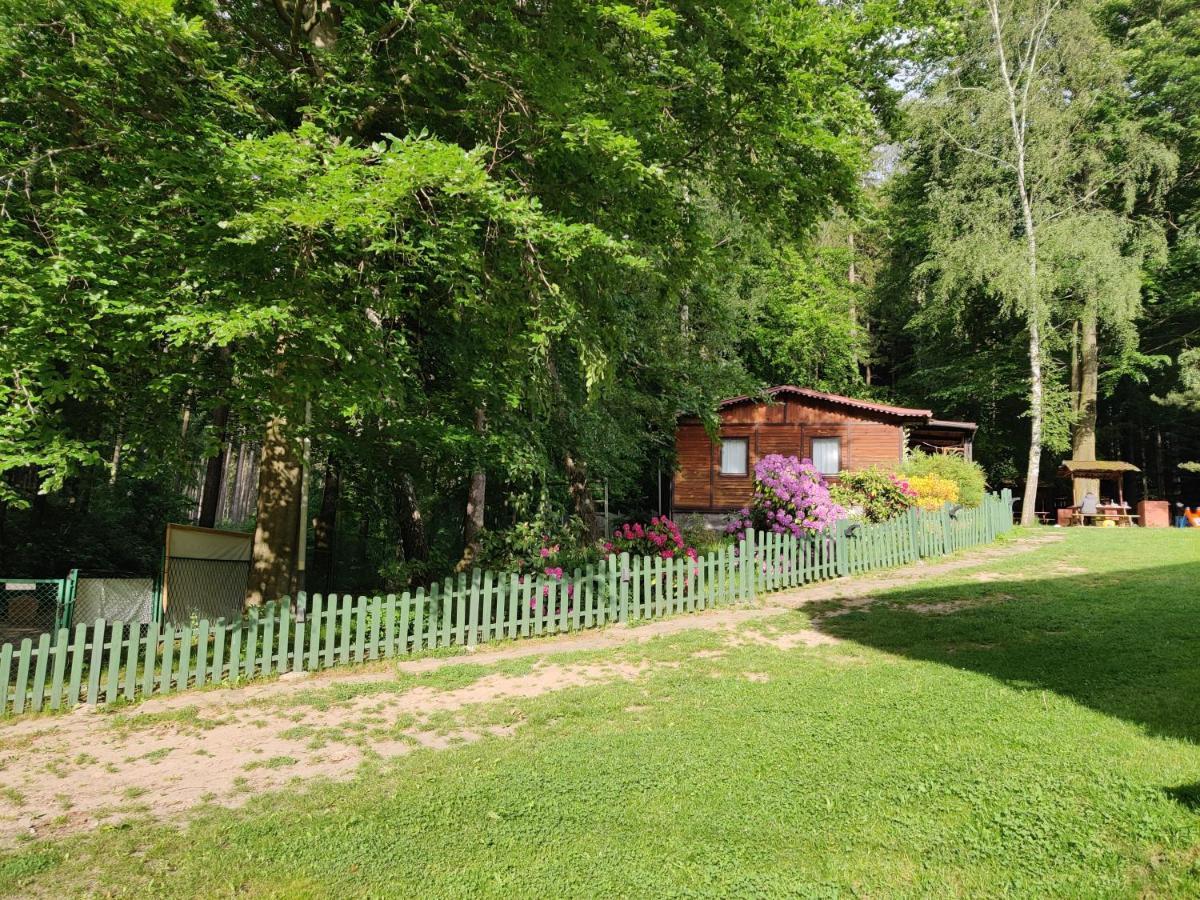 Hotel Osrodek Lesny Rajsko W Zapuscie Zapusta Exterior foto