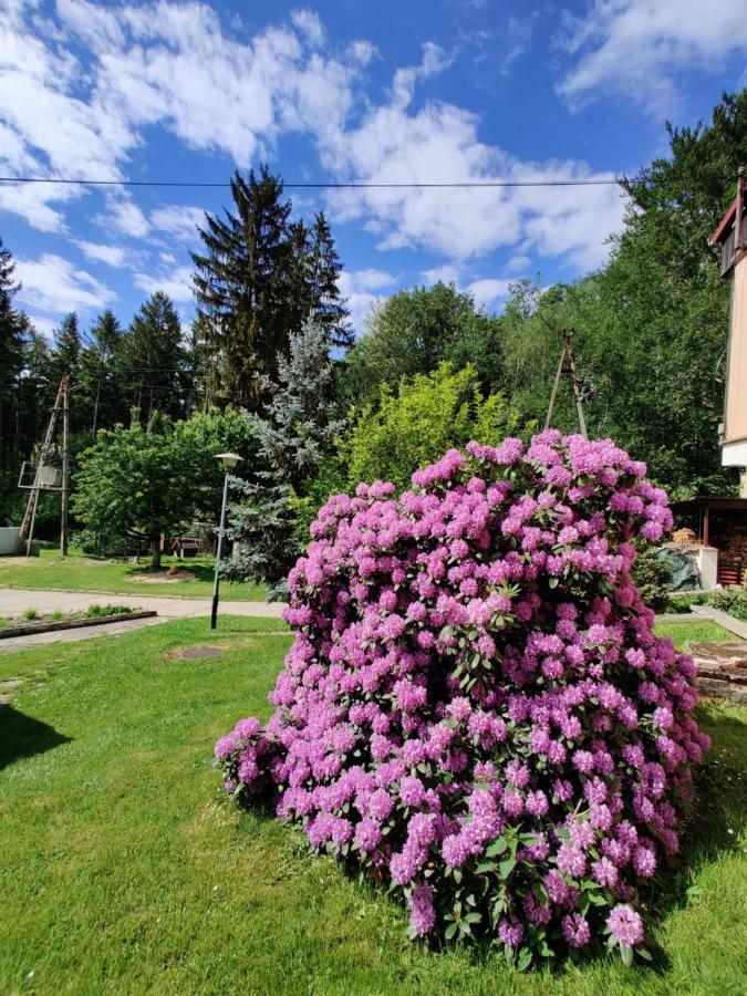 Hotel Osrodek Lesny Rajsko W Zapuscie Zapusta Exterior foto