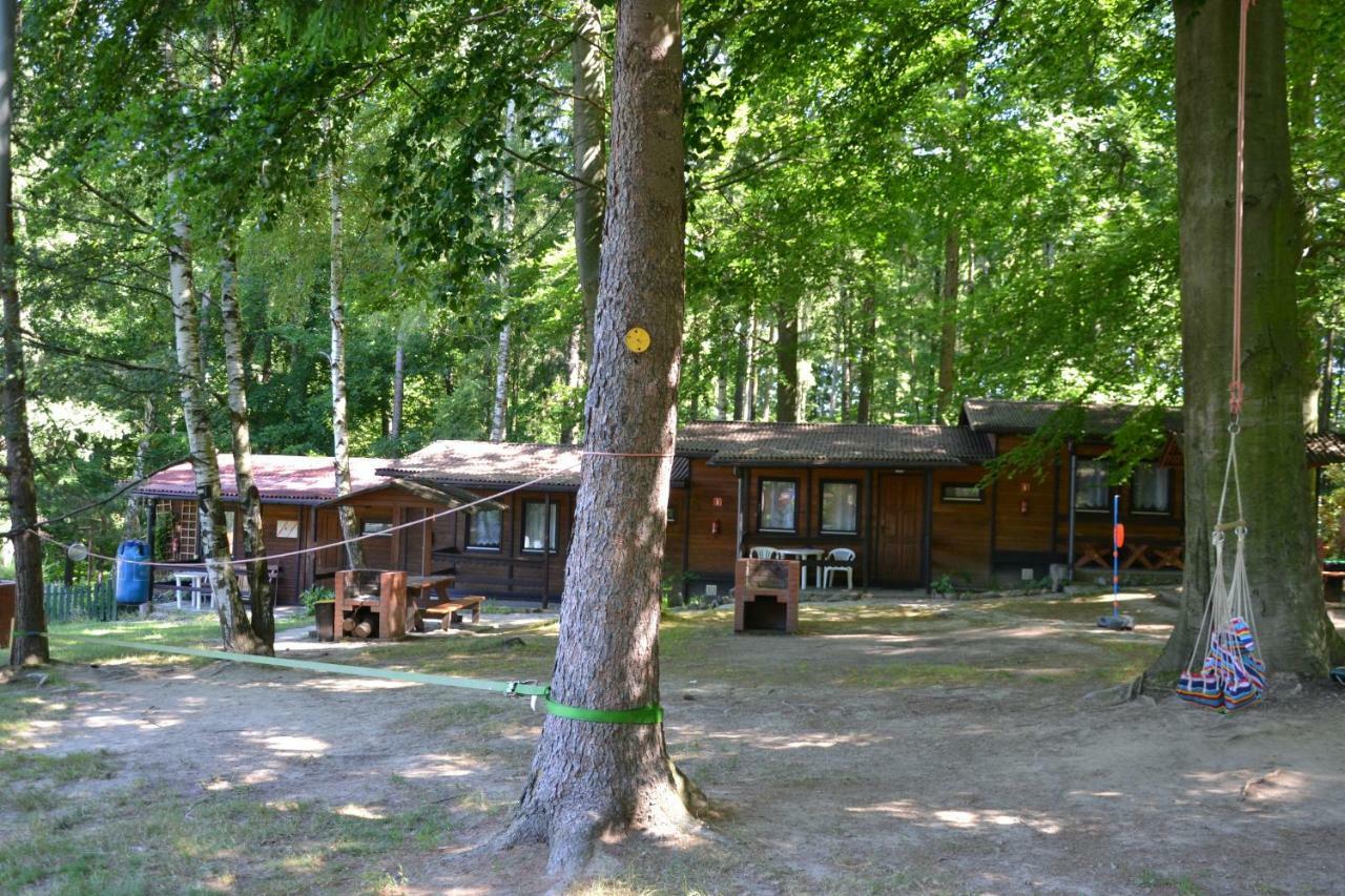 Hotel Osrodek Lesny Rajsko W Zapuscie Zapusta Exterior foto